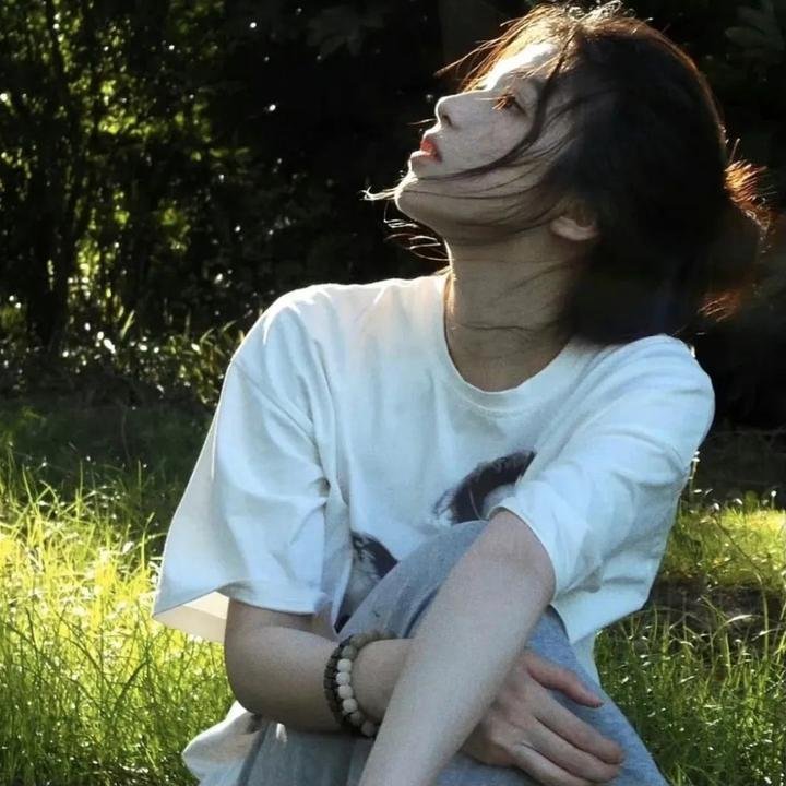 龟甲秘事之拨云见日